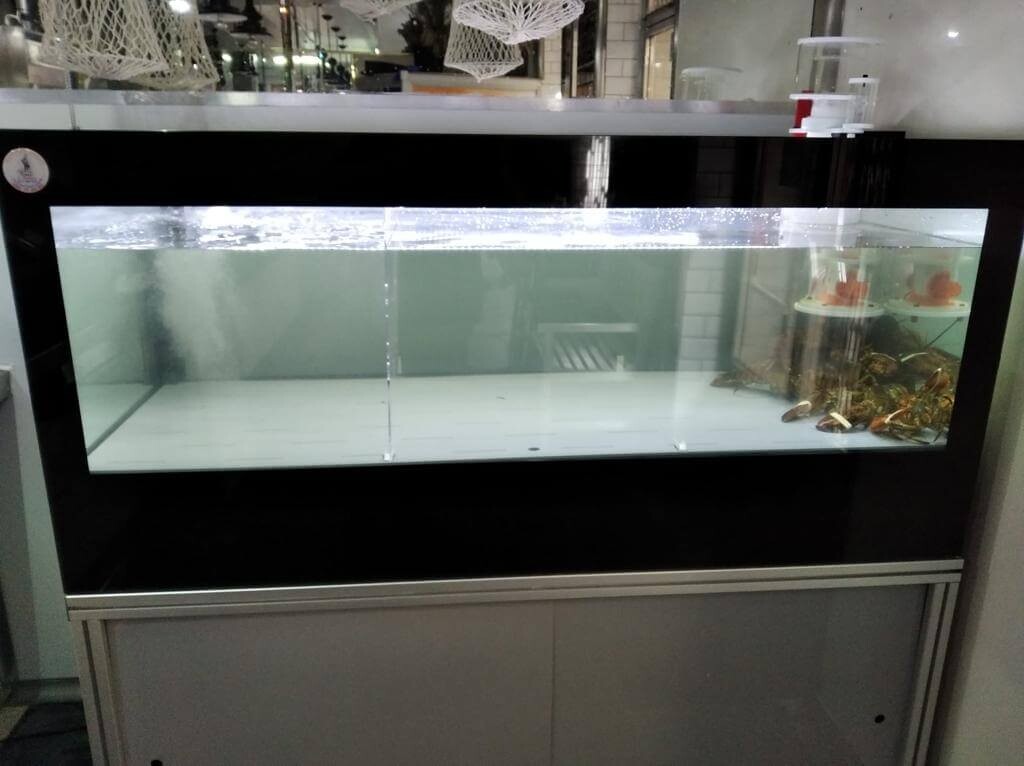 You are currently viewing Aquarium delivered in Burgos